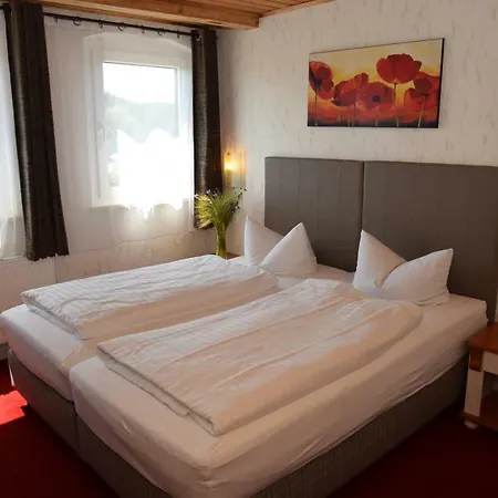 Отель Steigerwaldhaus 2*